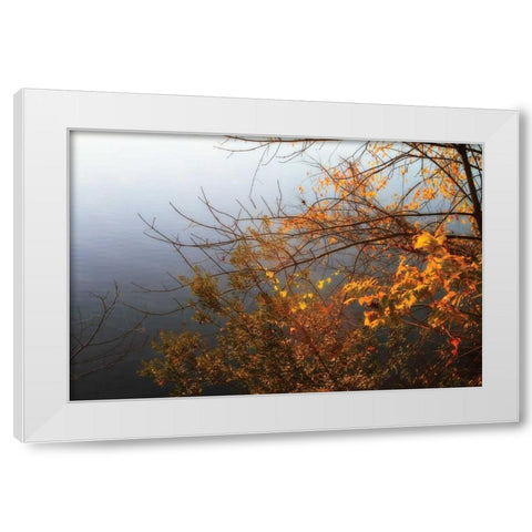 Leaves of Orange II White Modern Wood Framed Art Print by Hausenflock, Alan