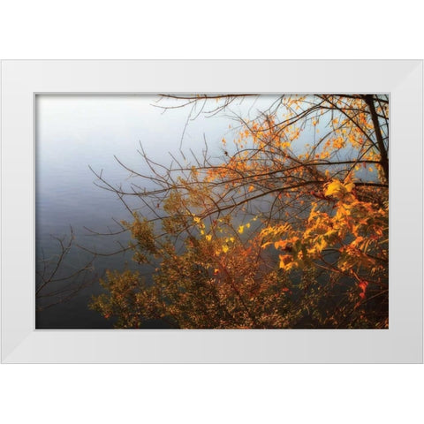 Leaves of Orange II White Modern Wood Framed Art Print by Hausenflock, Alan
