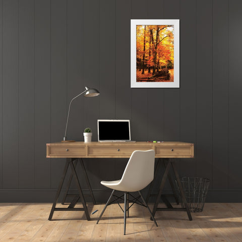 Split Rail Fence I White Modern Wood Framed Art Print by Hausenflock, Alan