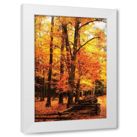 Split Rail Fence I White Modern Wood Framed Art Print by Hausenflock, Alan