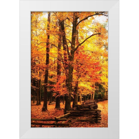 Split Rail Fence I White Modern Wood Framed Art Print by Hausenflock, Alan