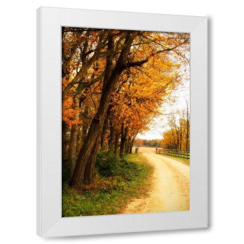 Gray Skies II White Modern Wood Framed Art Print by Hausenflock, Alan