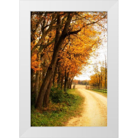 Gray Skies II White Modern Wood Framed Art Print by Hausenflock, Alan