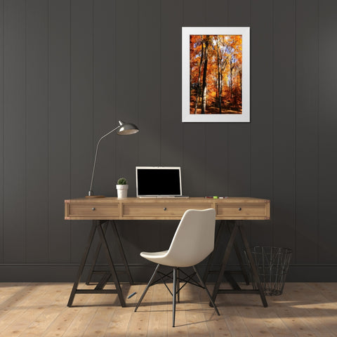 Autumn Cathedral I White Modern Wood Framed Art Print by Hausenflock, Alan