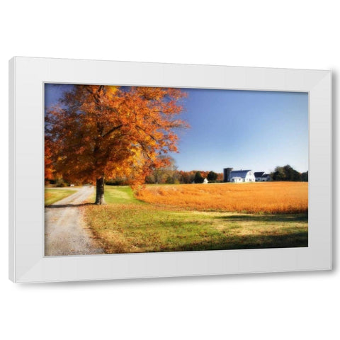 Family Farm I White Modern Wood Framed Art Print by Hausenflock, Alan