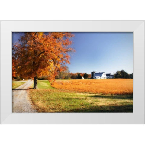 Family Farm I White Modern Wood Framed Art Print by Hausenflock, Alan