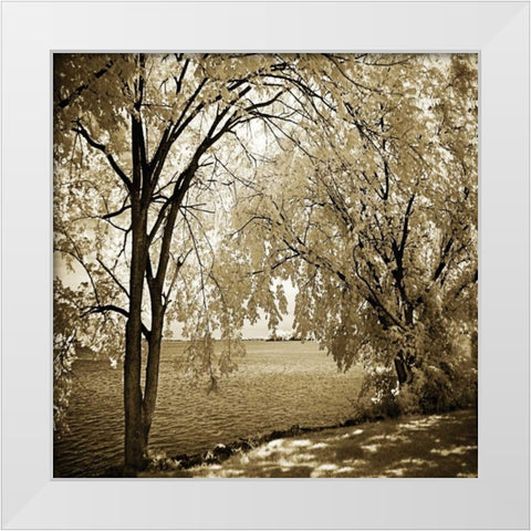 Hopewell Shores I White Modern Wood Framed Art Print by Hausenflock, Alan