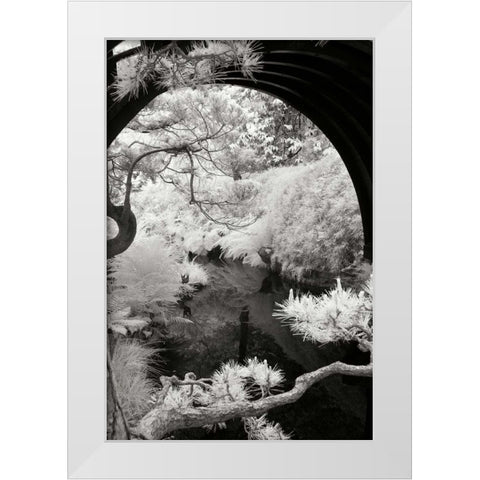 San Francisco Garden IV White Modern Wood Framed Art Print by Johnson, George