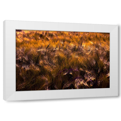Golden Grain White Modern Wood Framed Art Print by Johnson, George