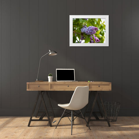 Karens Lilac White Modern Wood Framed Art Print by Johnson, George