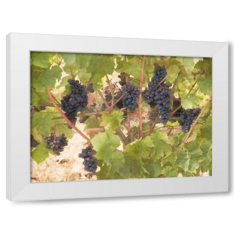 Low Hanging Fruit White Modern Wood Framed Art Print by Johnson, George
