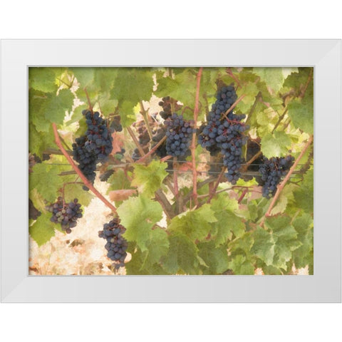 Low Hanging Fruit White Modern Wood Framed Art Print by Johnson, George