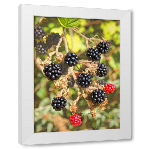 Geroges Wild Berries White Modern Wood Framed Art Print by Johnson, George