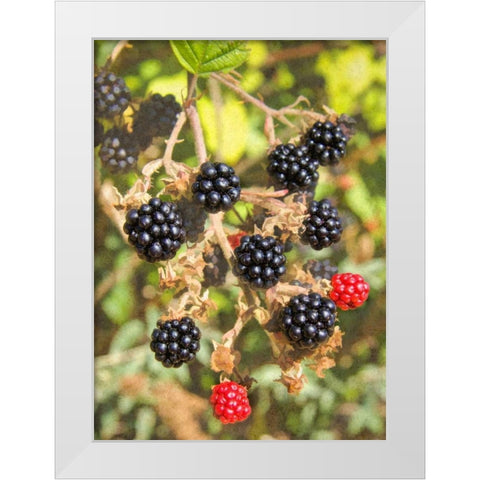 Geroges Wild Berries White Modern Wood Framed Art Print by Johnson, George
