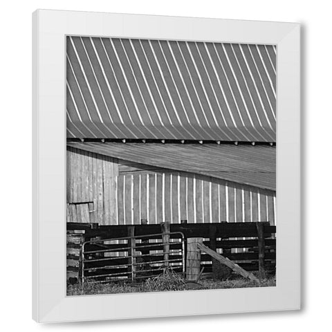 Big Barn II White Modern Wood Framed Art Print by Larson, Scott