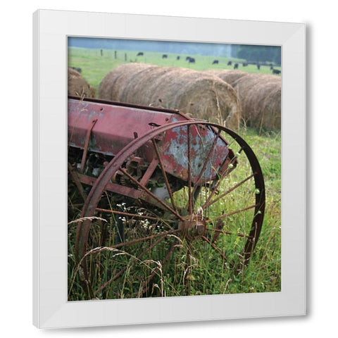 Sewing Seeds I White Modern Wood Framed Art Print by Larson, Scott