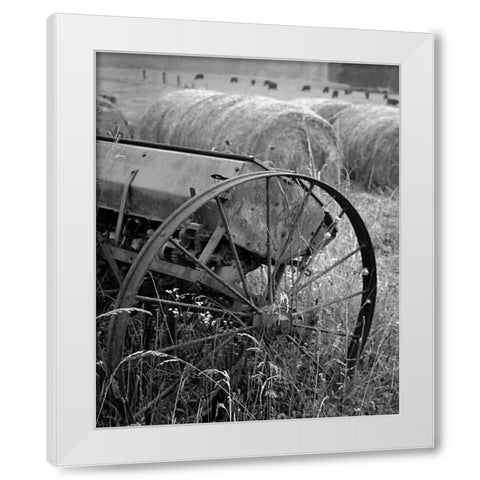 Sewing Seeds II White Modern Wood Framed Art Print by Larson, Scott