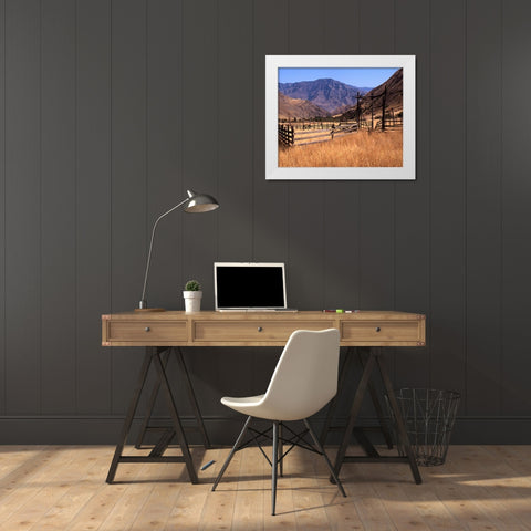 Summer Corral II White Modern Wood Framed Art Print by Larson, Scott