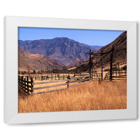 Summer Corral II White Modern Wood Framed Art Print by Larson, Scott