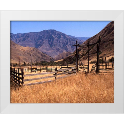 Summer Corral II White Modern Wood Framed Art Print by Larson, Scott
