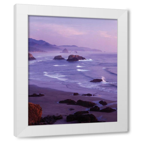 Ecola State Park I White Modern Wood Framed Art Print by Leahy, Ike