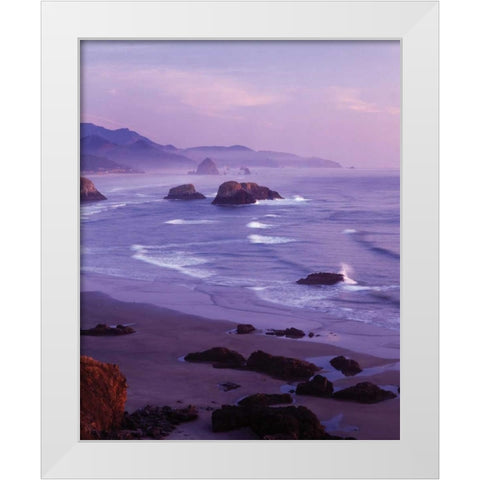 Ecola State Park I White Modern Wood Framed Art Print by Leahy, Ike