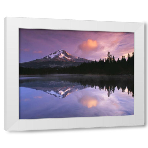 Mt. Hood II White Modern Wood Framed Art Print by Leahy, Ike