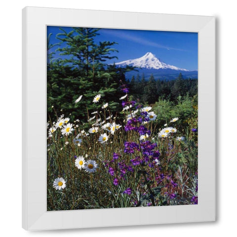 Mt. Hood V White Modern Wood Framed Art Print by Leahy, Ike