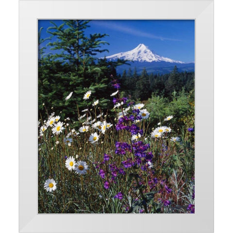 Mt. Hood V White Modern Wood Framed Art Print by Leahy, Ike