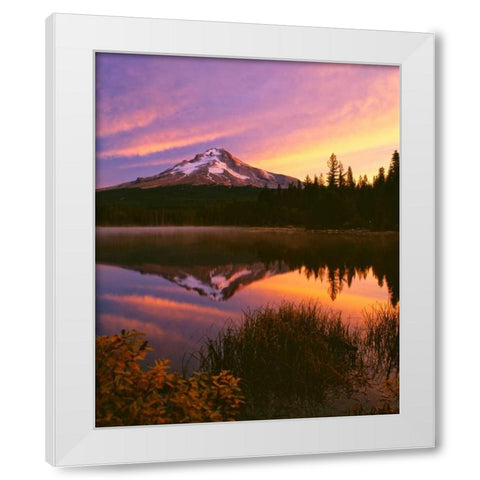 Mt. Hood XVI White Modern Wood Framed Art Print by Leahy, Ike
