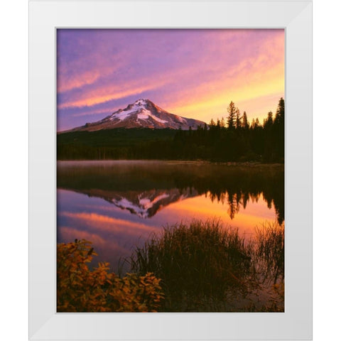 Mt. Hood XVI White Modern Wood Framed Art Print by Leahy, Ike