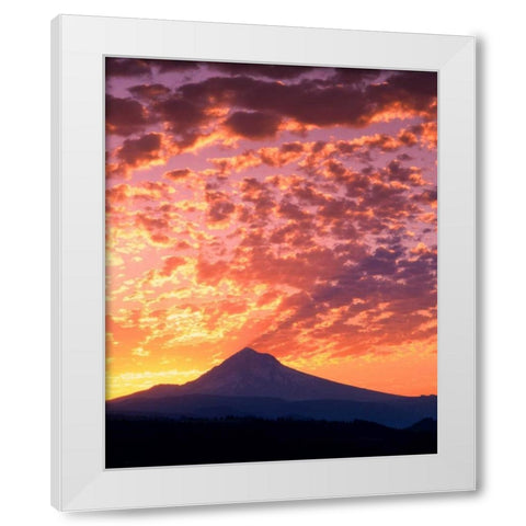 Mt. Hood XXII White Modern Wood Framed Art Print by Leahy, Ike