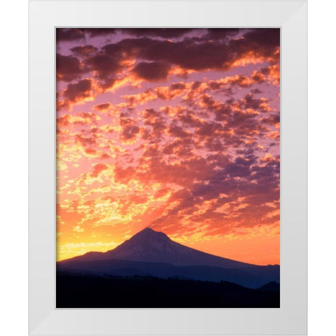 Mt. Hood XXII White Modern Wood Framed Art Print by Leahy, Ike