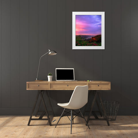 Columbia River Gorge IX White Modern Wood Framed Art Print by Leahy, Ike