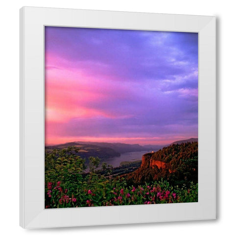 Columbia River Gorge IX White Modern Wood Framed Art Print by Leahy, Ike