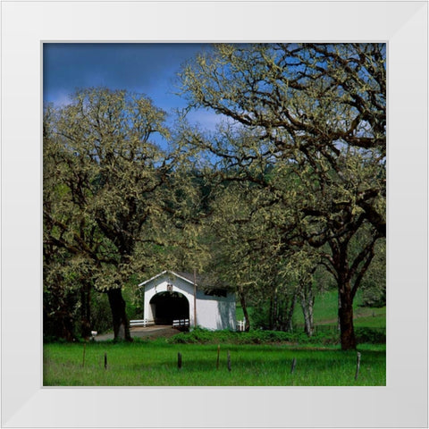 Harris Covered Bridge White Modern Wood Framed Art Print by Leahy, Ike