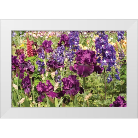Purple Garden II White Modern Wood Framed Art Print by Love, Maureen