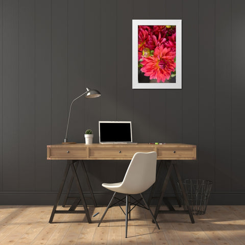 Fuschia Dalhia II White Modern Wood Framed Art Print by Love, Maureen