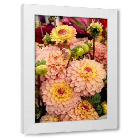 Mauve Dalhia I White Modern Wood Framed Art Print by Love, Maureen
