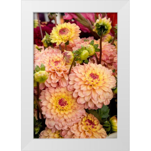 Mauve Dalhia I White Modern Wood Framed Art Print by Love, Maureen