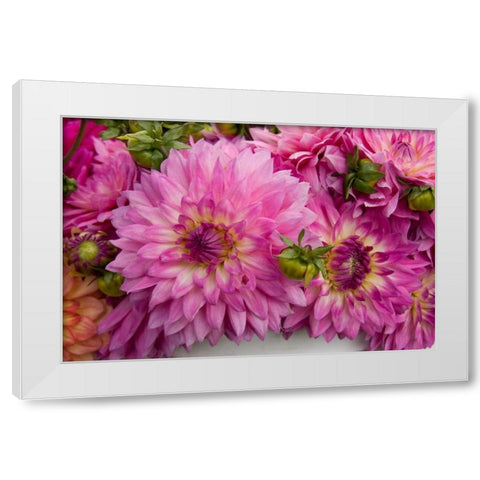 Purple Dalhia I White Modern Wood Framed Art Print by Love, Maureen