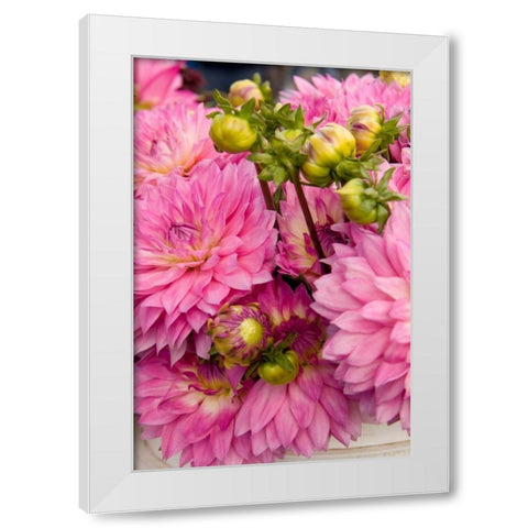 Pink Dalhia I White Modern Wood Framed Art Print by Love, Maureen