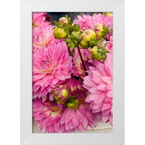 Pink Dalhia I White Modern Wood Framed Art Print by Love, Maureen