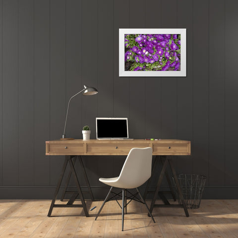 Purple Stars I White Modern Wood Framed Art Print by Love, Maureen