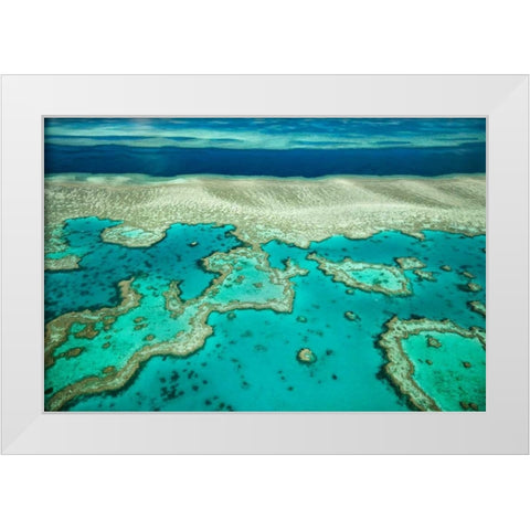 Coral River I White Modern Wood Framed Art Print by Malvin, Larry