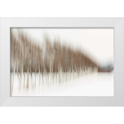 Birch Blur I White Modern Wood Framed Art Print by Malvin, Larry