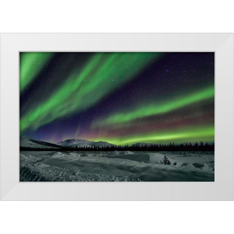 Aurora Borealis V White Modern Wood Framed Art Print by Malvin, Larry