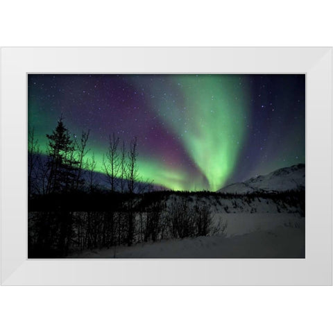 Aurora Borealis VII White Modern Wood Framed Art Print by Malvin, Larry