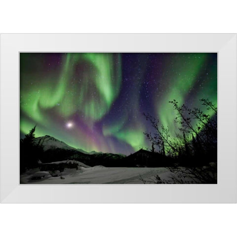 Aurora Borealis VIII White Modern Wood Framed Art Print by Malvin, Larry