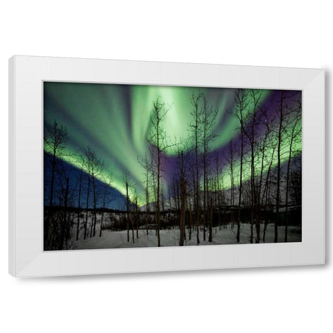 Aurora Borealis IX White Modern Wood Framed Art Print by Malvin, Larry